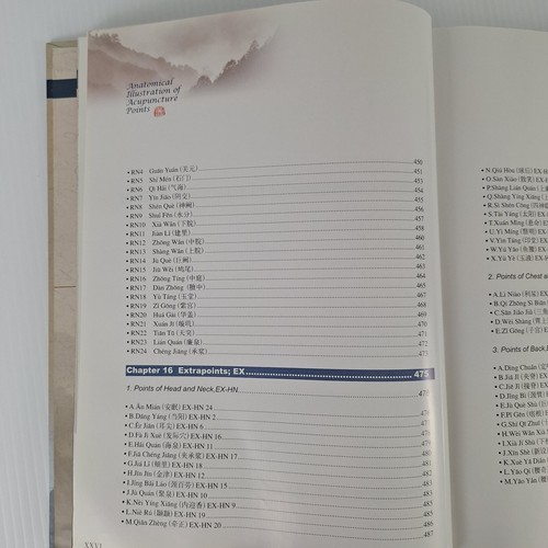 Anatomical Illustration of Acupuncture Points Hardcover Guo Chang 1st ED - Picture 21 of 24