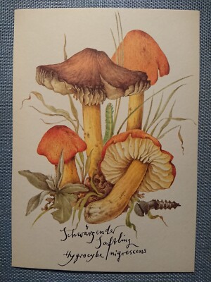 Old Postcard AK Blackening Inkcap Planet Publishing Berlin