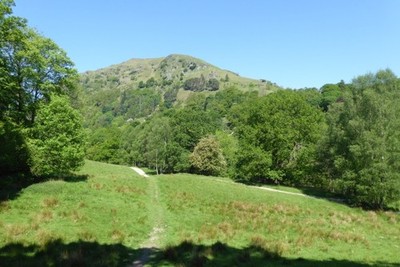 Photo 6x4 Path to Rydal Water Ambleside With Heron Pike overhead. c2017
