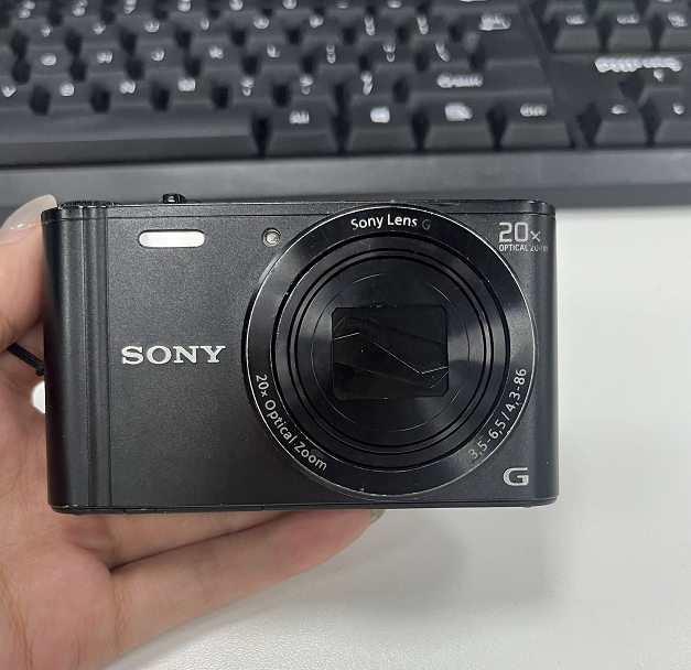 SONY Cyber-shot DSC-WX300 18.2MP 20x Zoom Digital Camera with Battery in Black