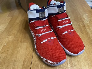 lebron 17 graffiti size 11