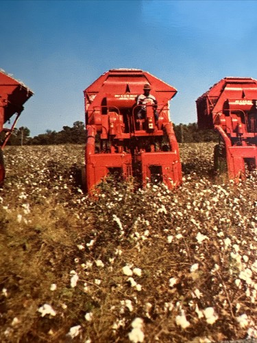 KING COTTON still reigns in the NEW SOUTH A DEEP SOUTH CARD - Unposted POSTCARD - Picture 7 of 9