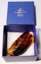 Bursztyn bałtycki z wieloma inkluzjami, ok. 66 gramów