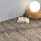 Bild 6 von 6