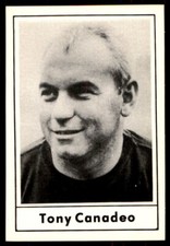 1977 TOUCHDOWN CLUB TONY CANADEO GREEN BAY PACKERS #49D HOF