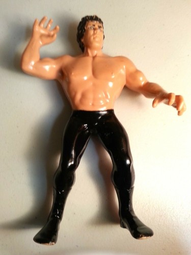 1986 LJN Titan Sports Ricky The Dragon WWF 8 Wrest...
