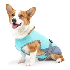 Kühlweste Hund atmungsaktiv Leicht Verstellb...