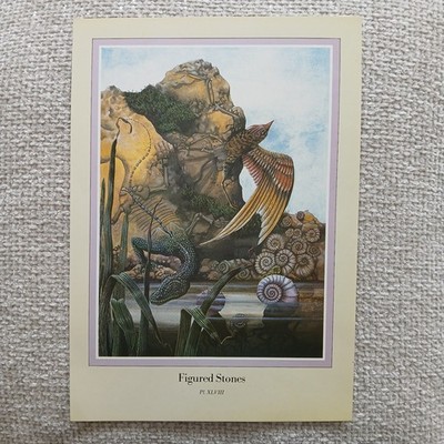 A4 Fantasy Vintage Kunstdruck Vogel Figur Steine Mythologie Kreatur Una Waldmeister