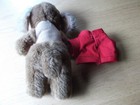 Bild 5 von 5