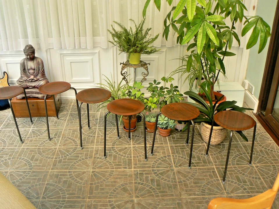 Set of 6 Arne Jacobsen Style Danish Ply Dot Stools  Late 1950's - Image 3 of 4