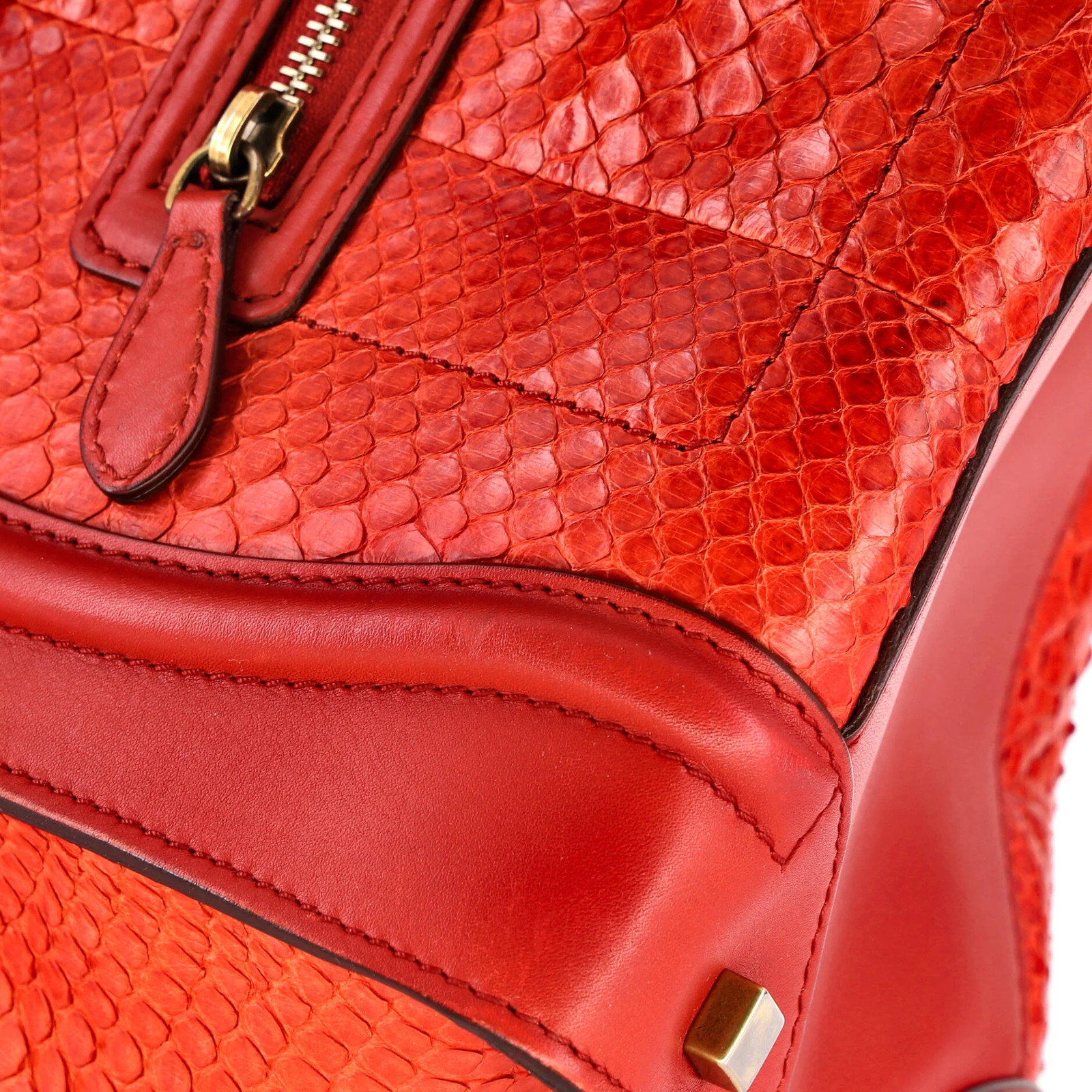 Celine Luggage Bag Python and Leather Mini - image 8