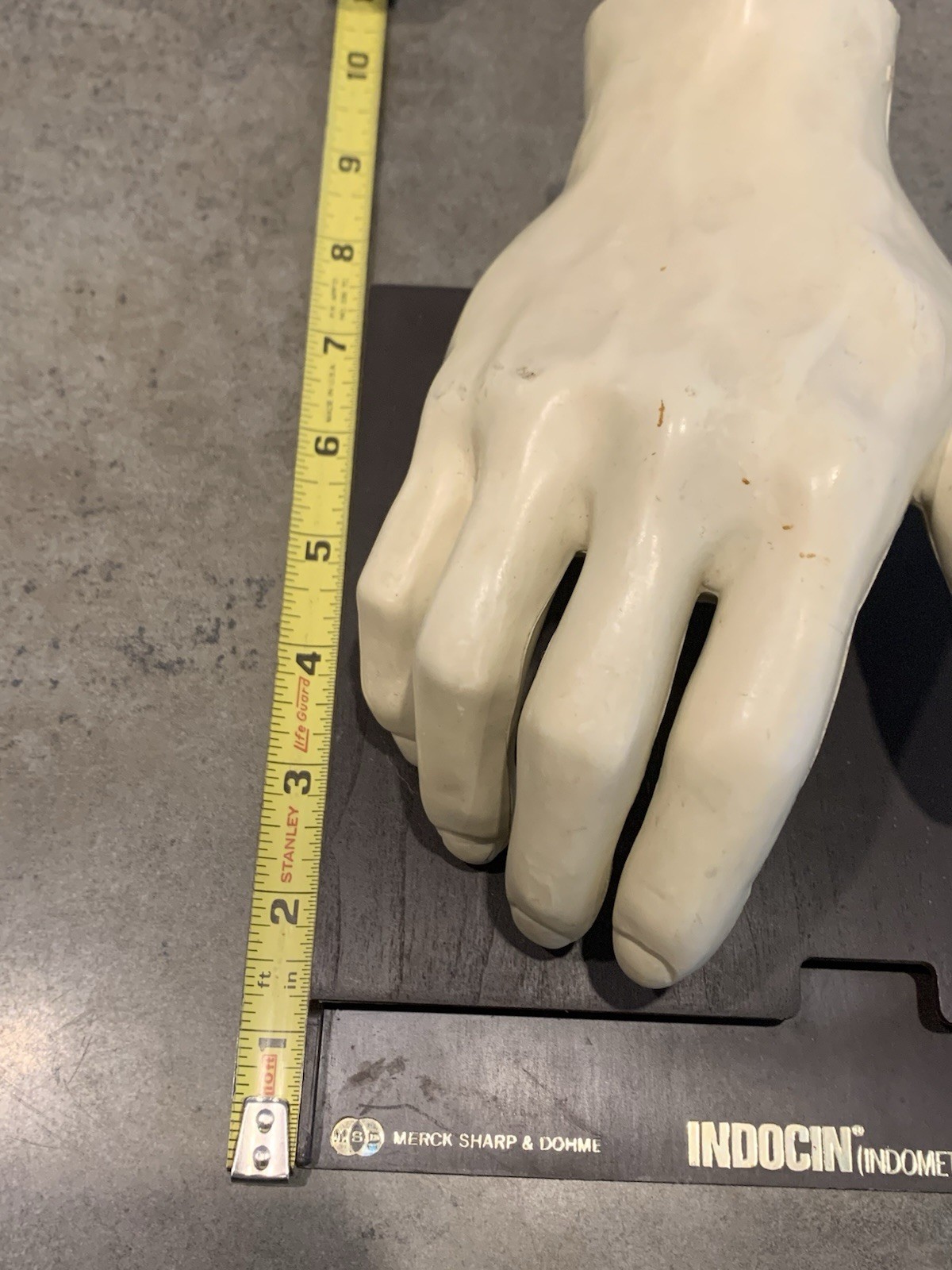 1967 MEDICAL HAND MODEL Anatomical Merck Advertising Halloween Prop Oddities