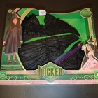 Wicked Deluxe Elphaba Black Dress & Accessories Dress Up Witch Costume Halloween