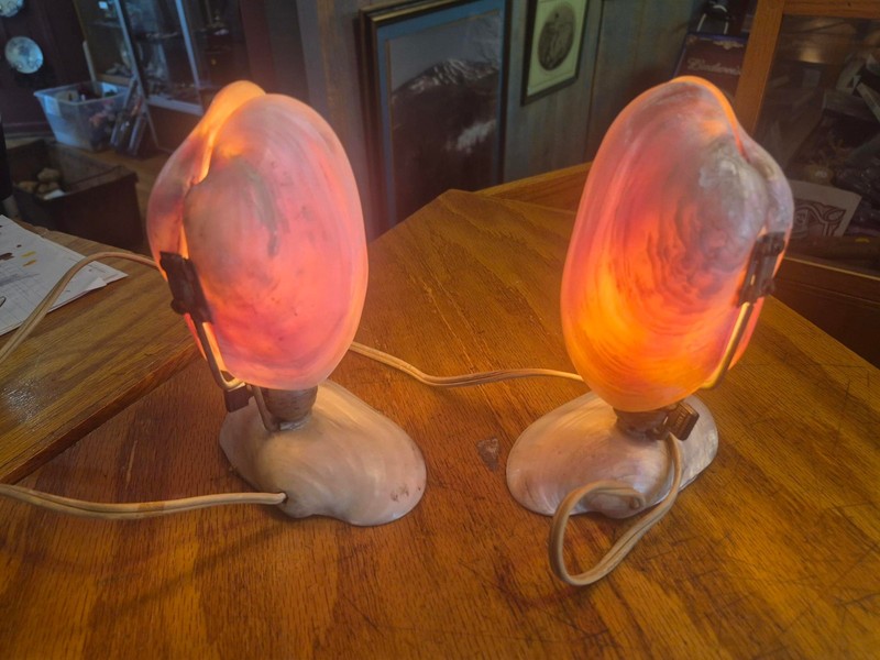 Vintage Leviton 1940s-50s 2x 7 1/2" Tabletop seashell brand electric lamps
