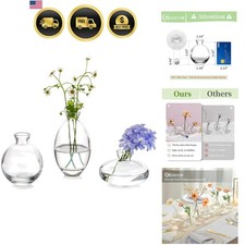 Clear Glass Bud Vase Set