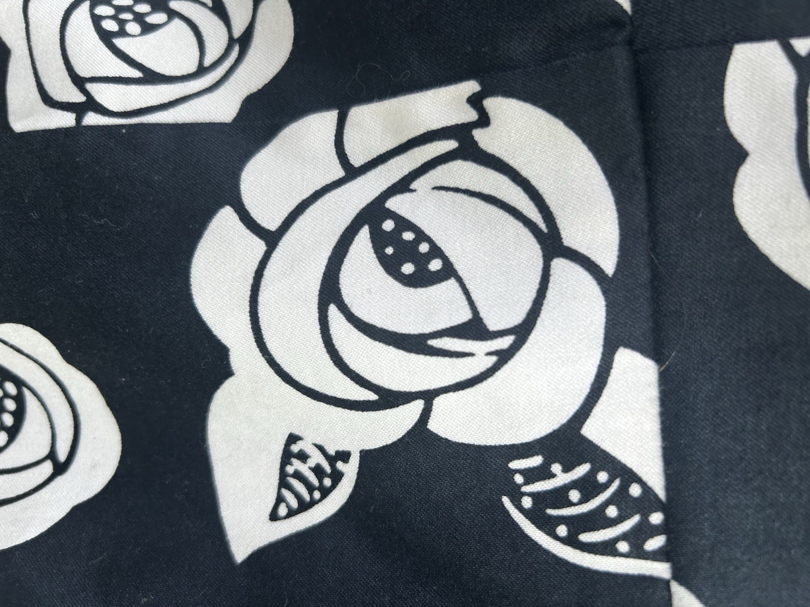 Picture 4 of 20