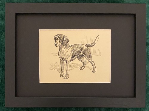 Beagle "Stacked"  MATTED | FRAMED | READY TO GIFT - 1950 Vintage Dog Art Print
