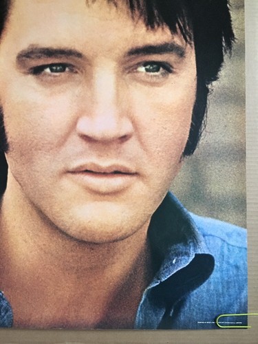Elvis Presley Original Vintage Poster Pin-up Music Memorabilia Pace Minerva 1981 - 第 10/11 張圖片