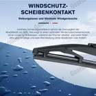 Bild 7 von 12