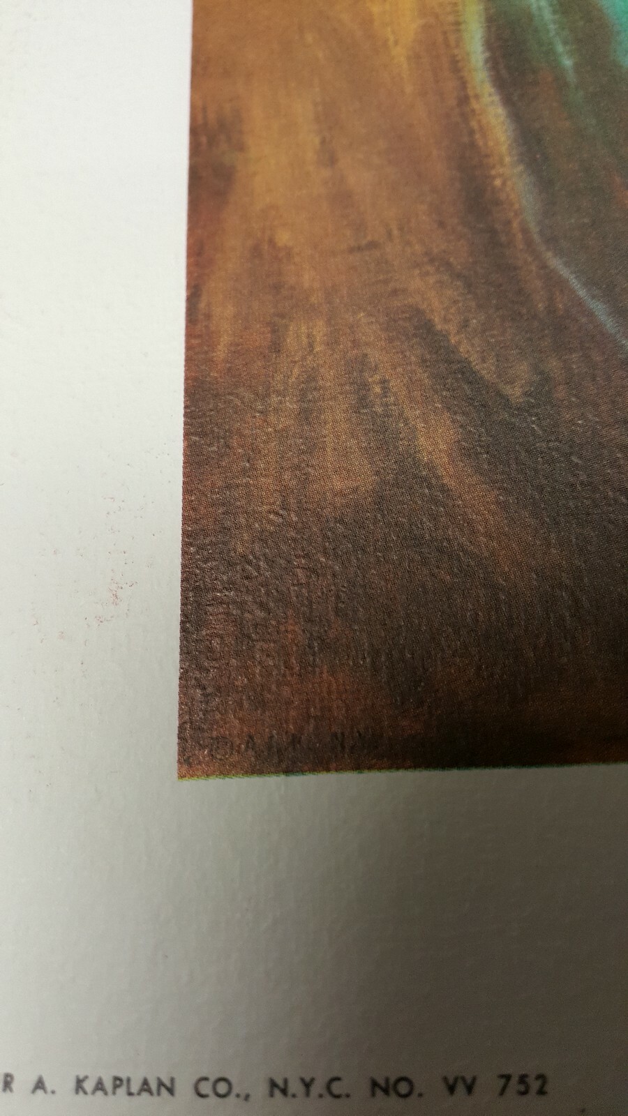 Picture 5 of 6