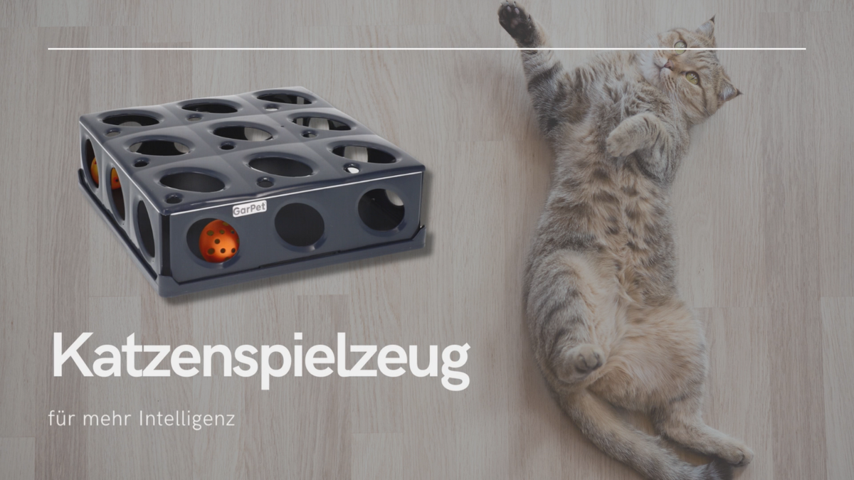 Katzenspielzeug Aufbewahrung – Grauer Ständer Für Angelruten & Federstäbe – 25,4×14×14 Cm, Mit Clip