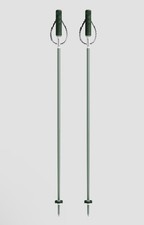 Yardsale Ski Poles