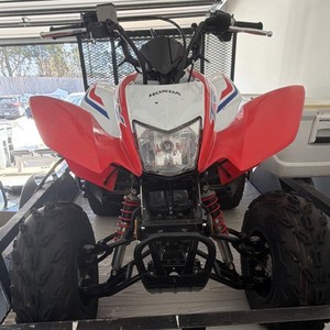 Honda Trx 250