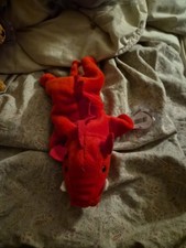 Ty Beanie Baby Grunt the Razorback 1995 with Tags- PVC Pellets