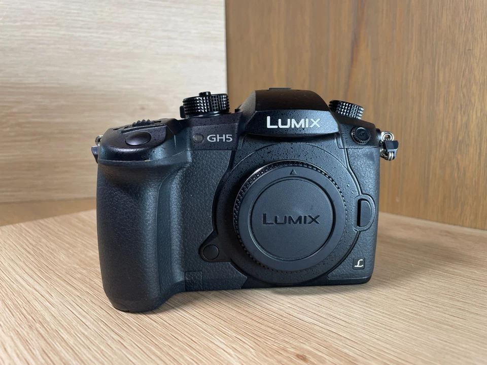 Panasonic LUMIX GH5 Body + V-Log Activated + SmallRig Cage + Neewer Battery Grip - image 2 of 4
