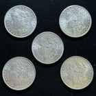 5 Lot - Morgan Dollars Mixed Dates/Mints - BU - 90% Silver