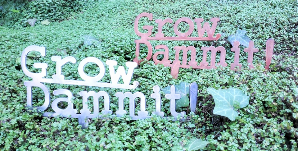 Letreros de jardín de primavera: ¡crece, maldita sea! Piedras cortadas en acero rústico -o- grabadas Foto 4 de 4