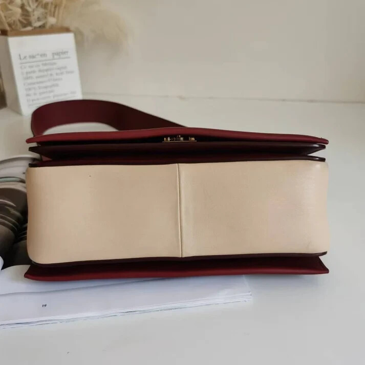 Celine Medium Frame shoulder bag by Phoebe Philo image 5