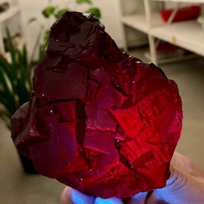 443G Natural black rose fluorescent cube fluorite specimen glow under UV light
