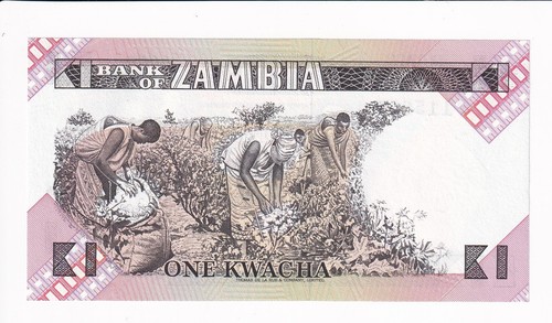 Zambia: 1 Kwacha Banknote, Kr #23a, UNC (65236) - Foto 2 di 2