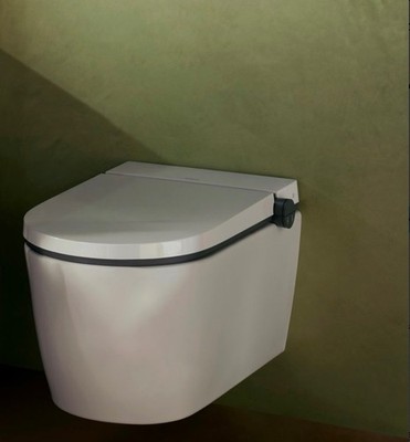 Hans Grohe Lava Pura Wash WC Element S