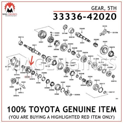 ブラウン60本M1720本 36311450967_grande.png?v=
