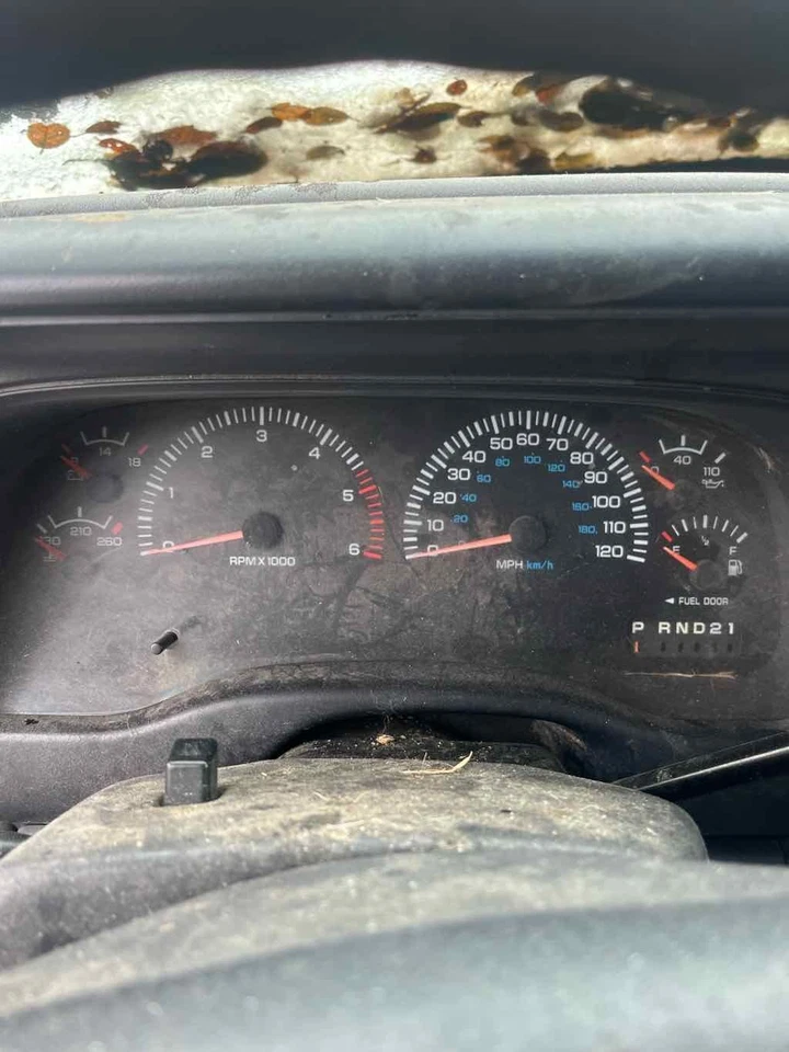 Alternador usado compatible con: Dodge Dakota 1999 117 amperios grado A Foto 3 de 4