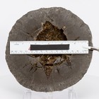 Unique & Rare Septarian Barite Geode from France Baryte Stone 175mm 4100g H0868 — photo 2