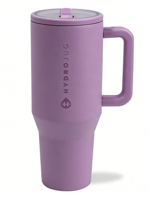 Tumbler Insulated Stainless Steel Handle Straw Cup
