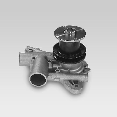 Hepu Wasserpumpe P945 FüR Renault-image