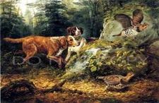 ANTIQUE REPRODUCTION A F TAIT PHOTO PRINT RUFFED GROUSE GROUSE HUNTING