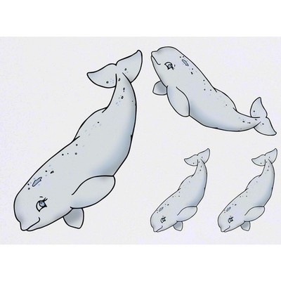 4 x 'Beluga Whale' Temporary Tattoos / Transfers (TO00094380)