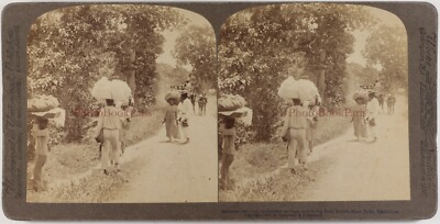 Martinique Flüchtlinge IN die -straße Eruption De La Montagne Pelee 1902 Foto