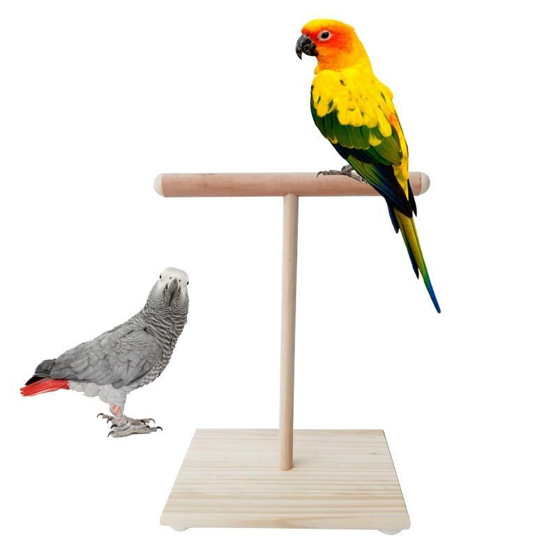 Parrot perches hotsell