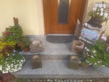 Sandstein Pflanzstein Pflanzkübel Sandsteintrog Pflanztrog Antik Alte Steintrog