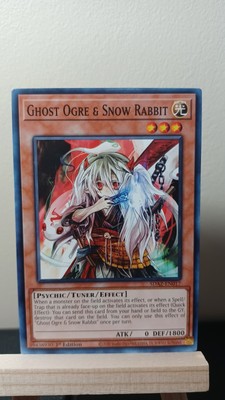 Ghost Ogre & Snow Rabbit 1st Ed [NM] - Yu-Gi-Oh! SDAZ [Common]