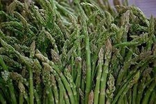 Mary Washington Asparagus Seeds (25 Seed Packet) (More Heirloom, Organic, Non GM