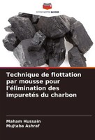Technique De Flottation Par Mousse Pour L'éLimination Des ImpuretéS Du Charbon