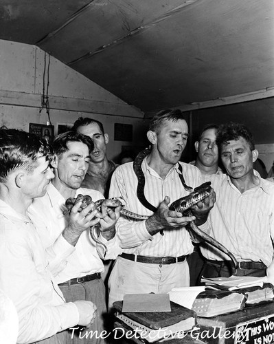 Snake Handlers in Church, Harlan County, Kentucky - 1946 - Vintage Photo Print