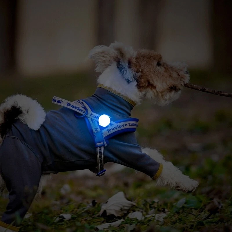 Dog LED Light Walk Night Truelove Harness Red Black Blue Green Rechargeable IP65 - Image 3 of 4